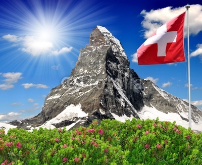 Sejumlah Lembaga di Swiss Minta Dunia Bergerak Hentikan Kebiadaban Zionis-Israel di Palestina