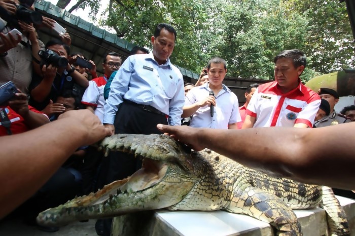 Lapas Narkoba Akan Dijaga Buaya, Piranha, dan Harimau, Bagusnya Lapas Koruptor Juga