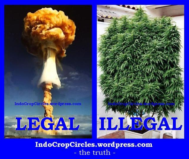 cannabis-illegal-and-nuclear-legal