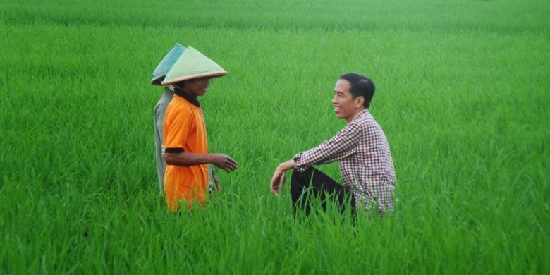 Jokowi1