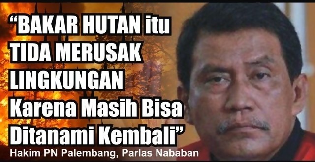 bakar hutan bisa ditanam lagi