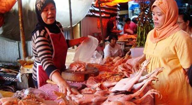 Dibilang Ahok Tak Halal, Pedagang Ayam Pasar Tradisional: Kita Tahu Agama Kok...