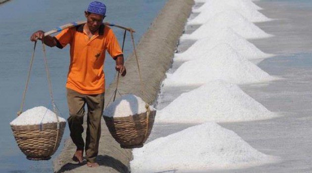 Indonesia Dikendalikan "PengPeng", Garam Pun Dikuasainya