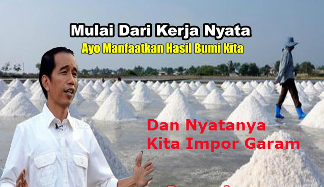 Sedang Dibentuk Opini: Impor Lebih Baik Daripada Swasembada