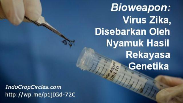Waspada, Virus Zika di Singapura Sudah Menular ke WNI