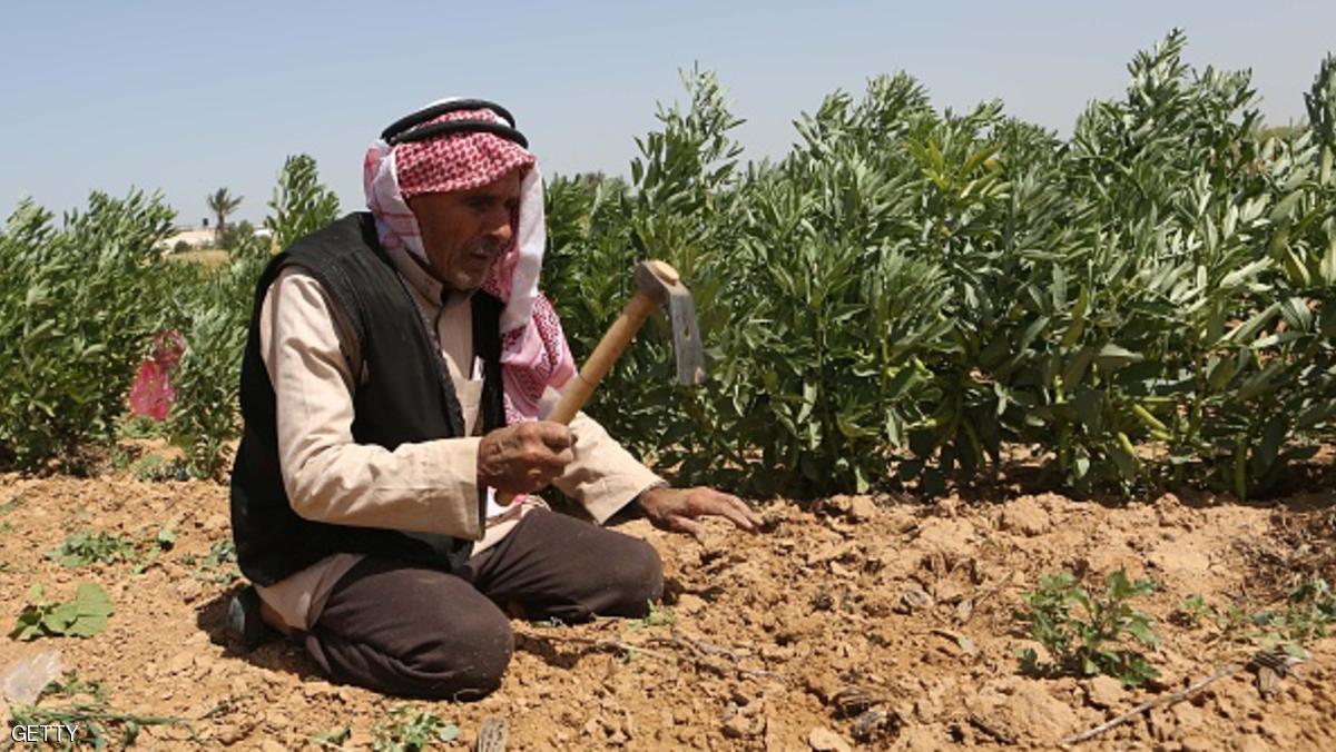 A Palestinian farmer works in his field in the village of Khuzaa, east of Khan Yunis near the border fence between Israel and the southern Gaza Strip on March 30, 2015 as Palestinian mark the Land Day. On the annual Land Day, demonstrations are held to remember six Arab Israeli protesters who were shot dead by Israeli police and troops during mass demonstrations in 1976 against plans to confiscate Arab land in the Galilee. AFP PHOTO / SAID KHATIB (Photo credit should read SAID KHATIB/AFP/Getty Images)