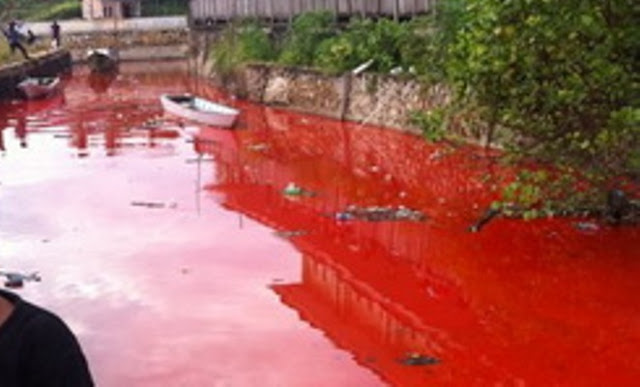 Air Sungai Berubah Jadi Merah Darah, Warga Pesantren Kediri Panik