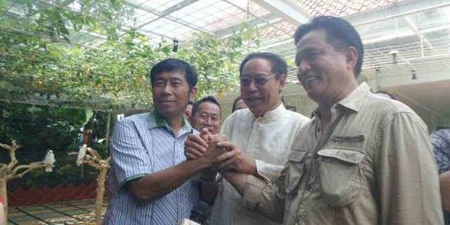 PPP Resmi Dukung Yusril Maju Pilgub DKI 2017