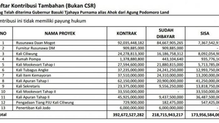 Ini Penampakan Dokumen Yang Bikin Ahok Sewot