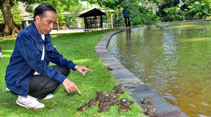 Asing Berkumpul Ingin Pisahkan Irian Jaya Dari NKRI, Kemana Jokowi?