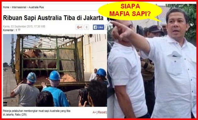 Alhamdulillah, Setelah LHI Dipenjara, Mafia Sapi Bebas Berkeliaran di Indonesia