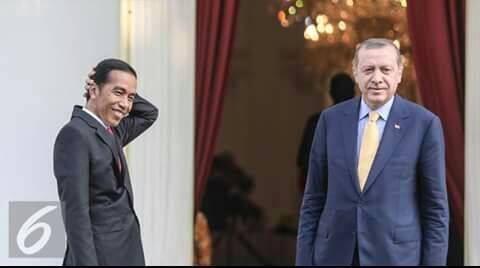 Media Prancis: Erdogan, Satu-satunya Pemimpin Jujur dalam Konflik Libya