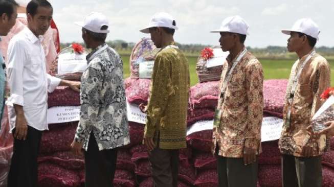 Diplomasi Bawang Busuk ala Pemerintahan Jokowi
