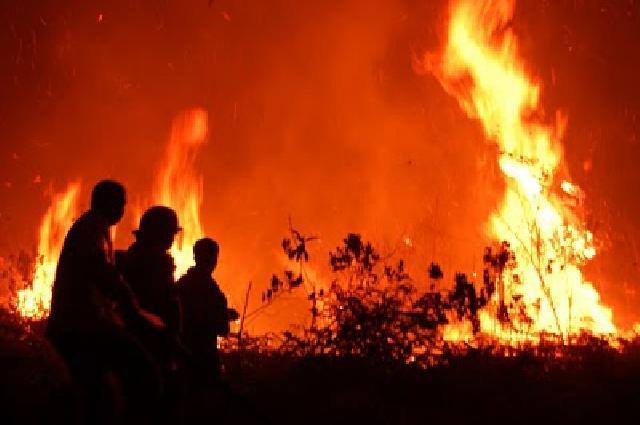 WALHI: Indonesia Darurat Kejahatan Korporasi