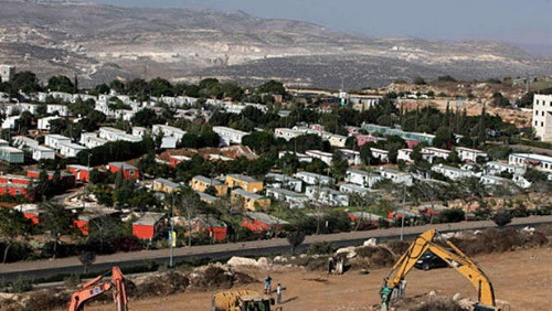 Menggila, Pemukim Ilegal Israel Racuni Ternak Palestina di Tepi Barat : 72 Domba Mati