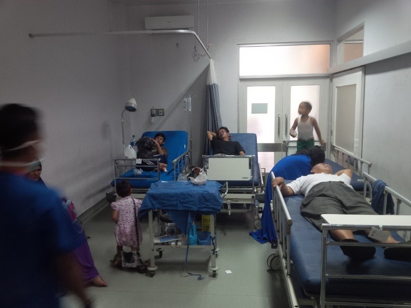 Ribuan Lebah Ngamuk di Kebun Raya Bogor, Dua Pengawal Jokowi Disengat
