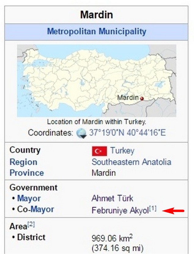 mardin2
