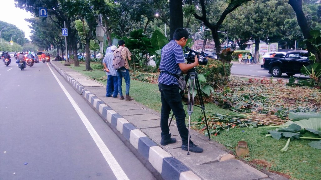 sampah-ahok