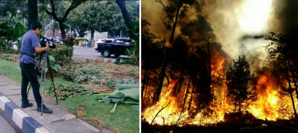 taman
