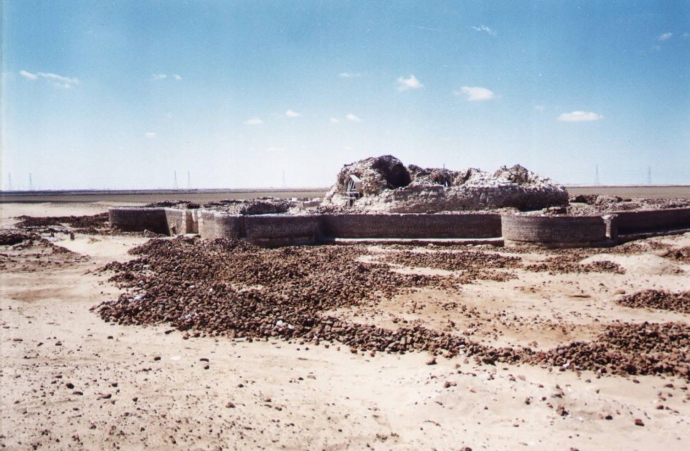 al-farma-tampak-dari-jauh