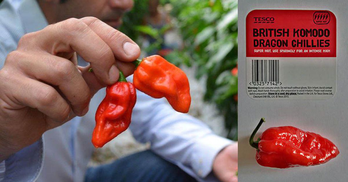 cabe-cina