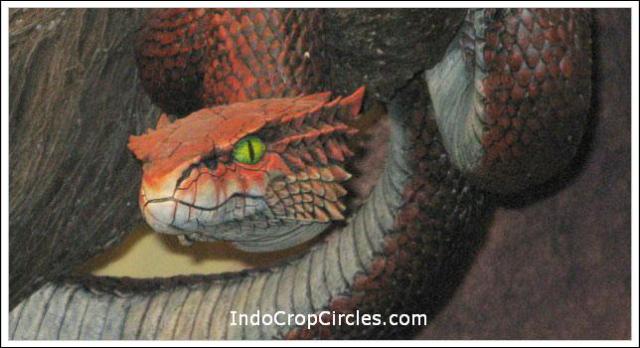 illuminati-symbols-serpent