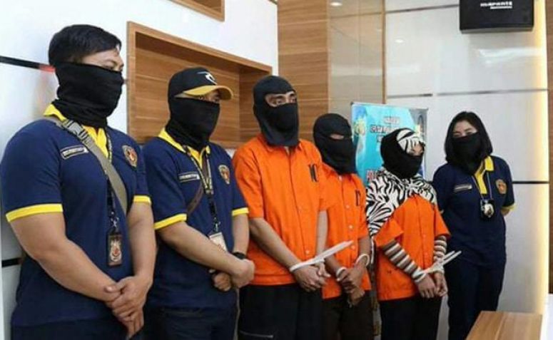 Saracen dan Sertifikat Pulau D