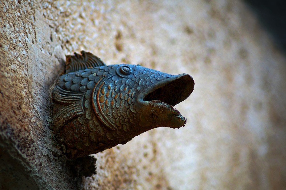 Kenang Kisah Roma, Ikan Busuk Dimulai Dari Kepalanya