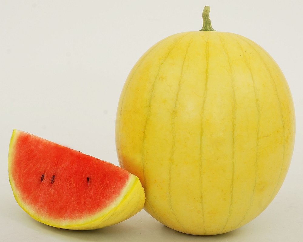 Waspadai Neo-Komunis