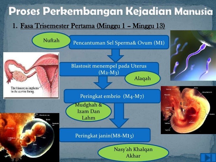 Ilmuan Non-Muslim Akui Fakta Informasi di Al Quran Berasal Dari Sumber Yang Maha Segalanya