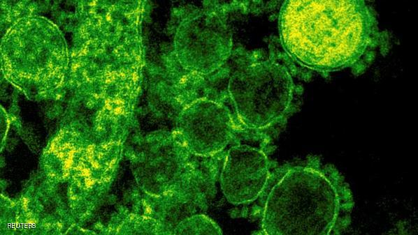 Ternyata Virus HMPV Sudah Lama Ada di Indonesia, Begini Penjelasan Menteri Kesehatan