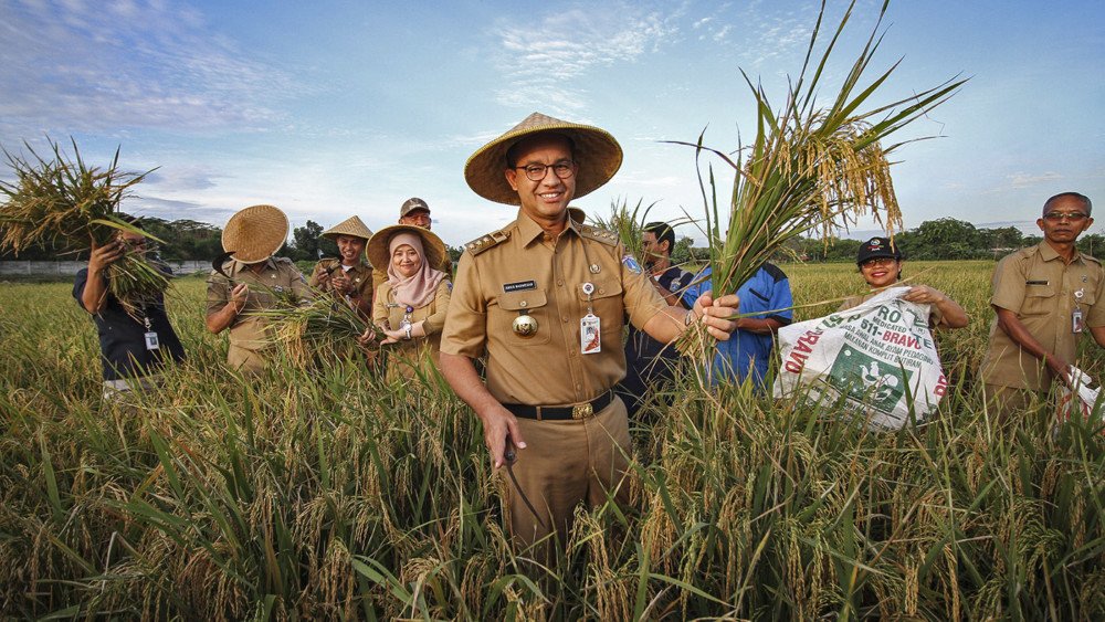 Akhlak Terhadap Tanaman dalam Islam