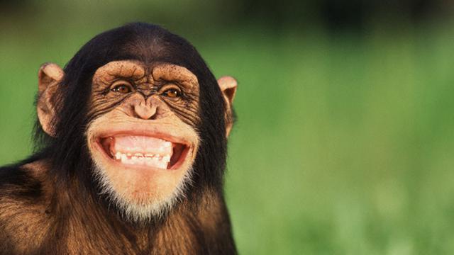 Ciri-Ciri Orang Gila