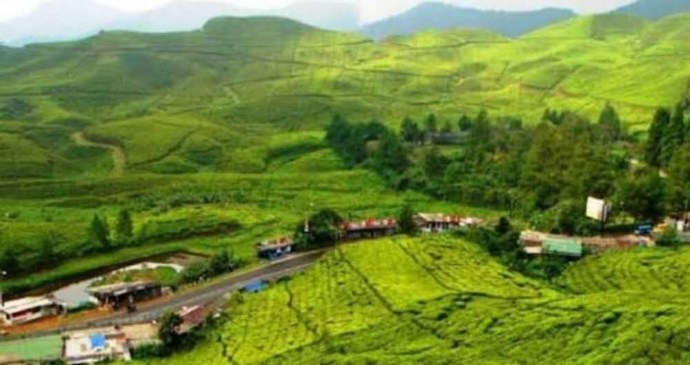 6 Tempat Wisata Paling Hits di Bogor, Mana Saja? Ini Dia List-nya!