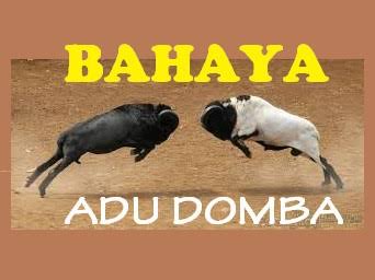 Cara Yahudi Hancurkan Umat Islam; Menghasut dan Adu Domba