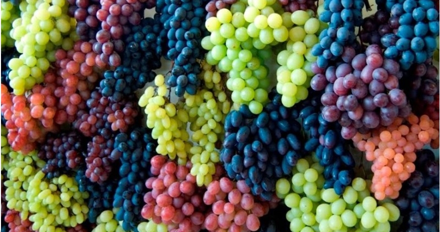 Sains Alquran: Anggur Buah Kesukaan Rasulullah