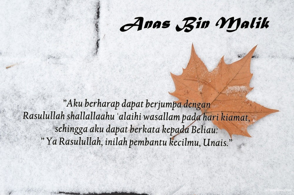 Kisah Anas bin Malik dan Teladan Rasulullah