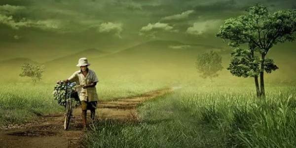 Lewat 4 Cara Ini Allah Memberi Kita Rezeki