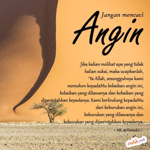 Awas! Islam Melarang Mencaci Maki Makhluk