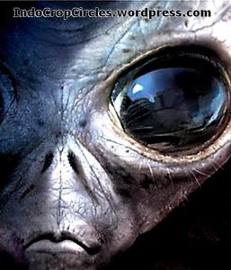 Big eye Alien