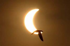 Bagi Anda yang Masih Malas Beristighfar...