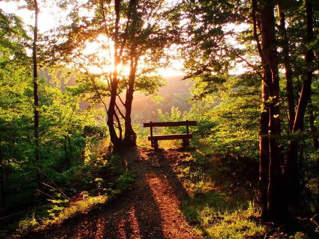 Sinar Matahari Butuh 8 Menit untuk Sampai ke Bumi