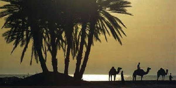 Ini Keutamaan Bulan Dzulhijjah