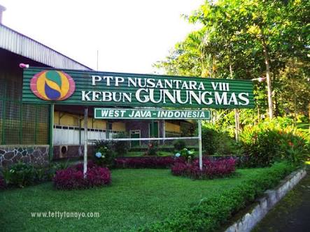 (PTPN Vs Markaz Syariah) PTPN VIII Bisa Menjadi Tertuduh, Jika Terbukti Telantarkan Lahan