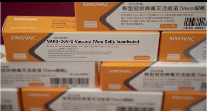 Vaksin Sinovac dari Vero Cell: Mengandung Virus Hidup yang Dilemahkan!