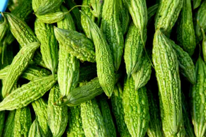 5 Makanan Pahit yang Memiliki Manfaat Luar Biasa bagi Tubuh
