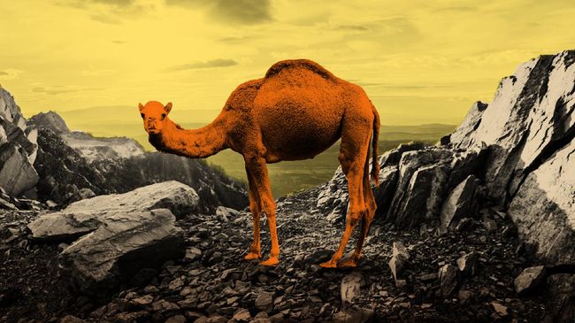 Kisah Nabi Saleh AS dan Kaum Tsamud yang Diazab Allah dengan Gempa Dahsyat