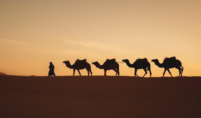 Ramadhan Sebentar Lagi, Ingat 2 Hal Ini