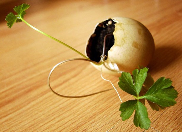 Di Balik Baik Sangka Ada Pelajaran Berharga