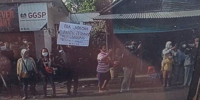 PKS: Peternak Menjerit, Kenapa Presiden Diam Saja?